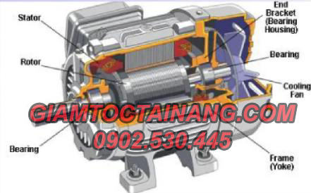 cấu tạo motor 3 pha