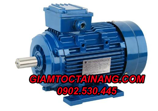 motor điện 3 pha