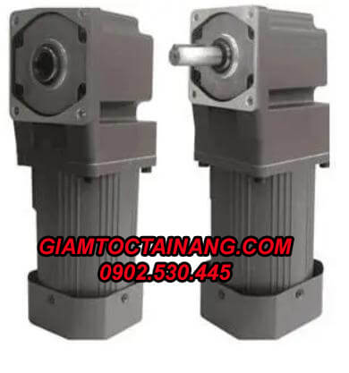 Motor giảm tốc 220V