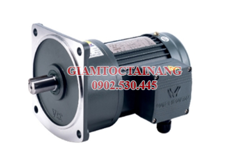 motor giảm tốc 3 pha kiểu mặt bích