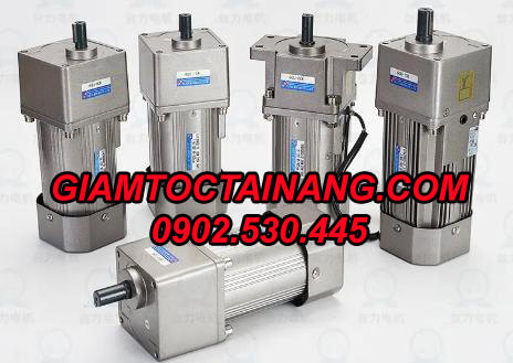 Motor giảm tốc 220V 