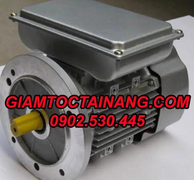 motor 1 pha mặt bích