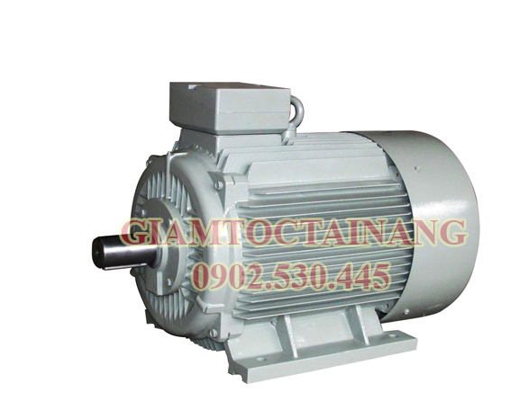 motor điện 1 pha 2kw