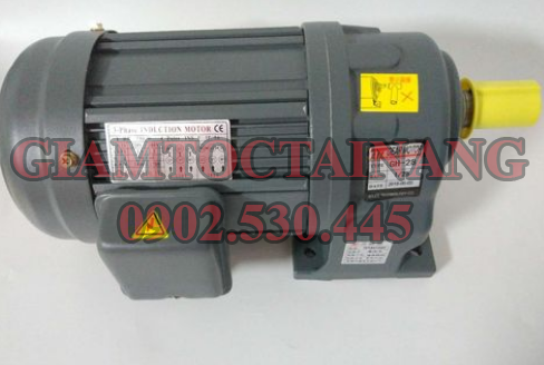 Motor giảm tốc bãi