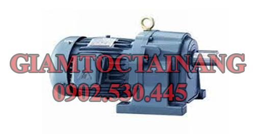 Motor giảm tốc TeCo