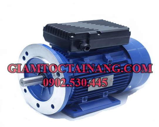 Động cơ điện 1 pha 5hp