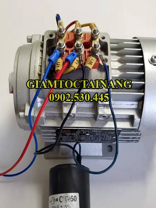 Đấu điện motor điện 3 pha