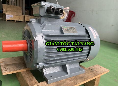 Motor điện 3 pha