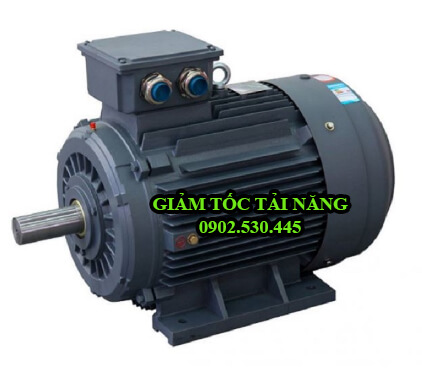 Motor điện 3 pha