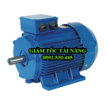 Motor điện 3 phase