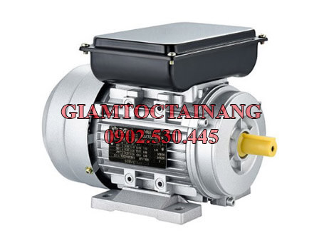 Motor điện 1 pha chân đế