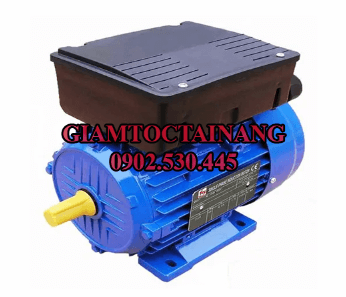 Motor điện 1 phase