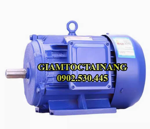 Motor điện 3 pha