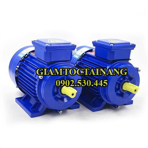 Motor điện 3 pha chân đế