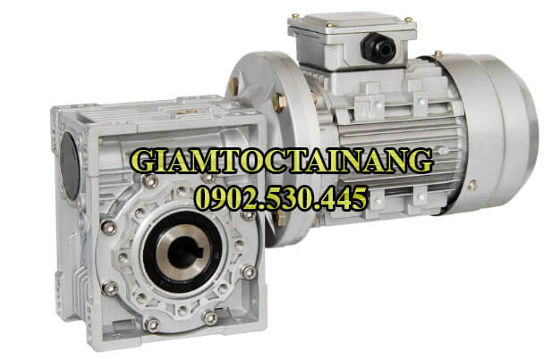 Motor điện 3 pha gắn NMRV