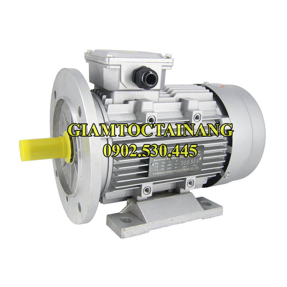 Motor điện 3 pha mặt bích