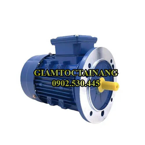 Motor điện 3 pha mặt bích