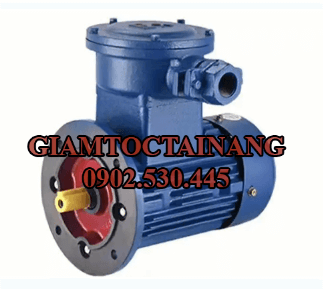 Motor điện phòng cháy nổ