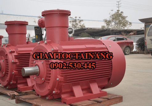 Motor điện phòng nổ giá rẻ