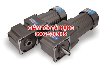 Bộ giảm tốc mini