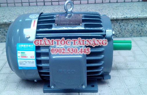 Những ưu điểm của motor 3 pha TECO