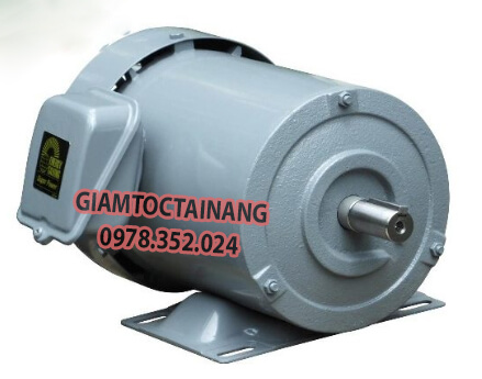 Đặc điểm nhận dạng về motor Mitsubishi