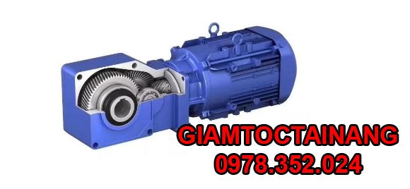 Cấu tạo của giảm tốc Sumitomo