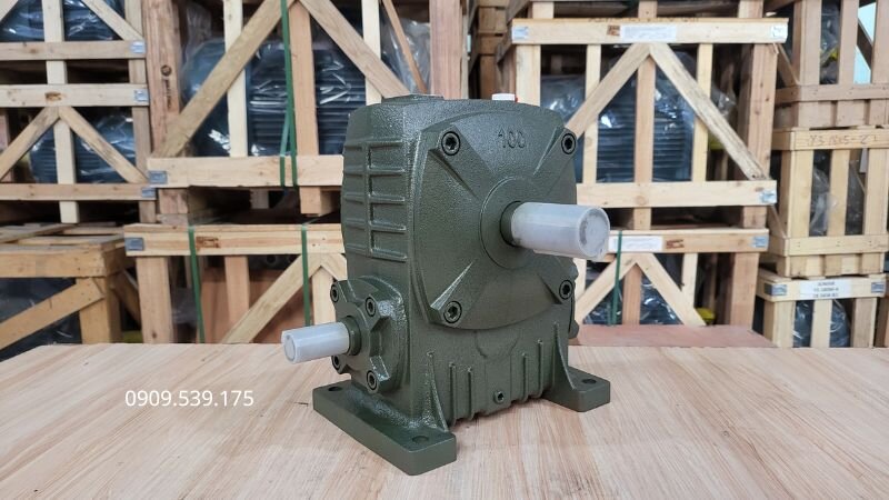 Đầu vào dạng trục dương (cốt lồi) của hộp giảm tốc WPA dùng để kết nối qua puly hoặc khớp nối