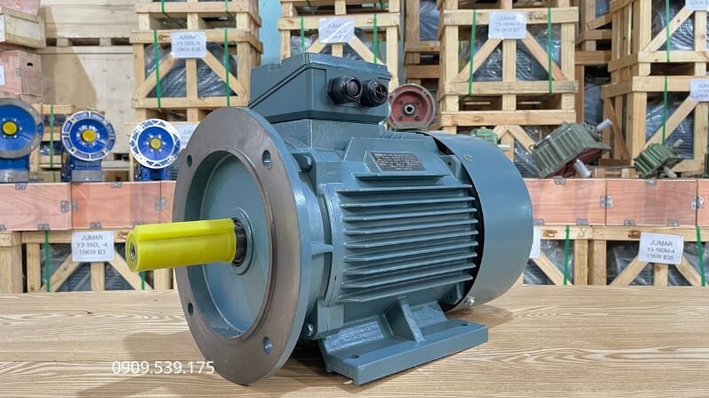 Động cơ điện 3 pha mặt bích chuyên dùng để lắp cùng hộp giảm tốc WPDX
