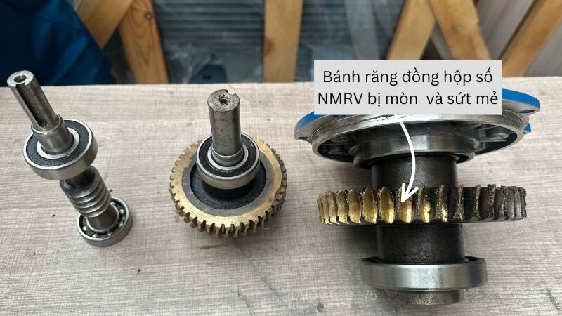 Bánh răng đồng NMRV bị mòn hoặc sứt mẻ