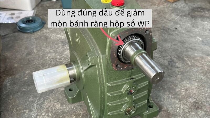 Dầu bôi trơn đúng cách giúp bảo vệ bánh răng hộp số WP